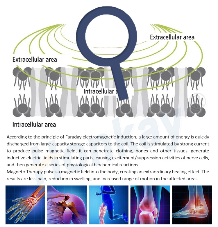 pemf therapy machine cost